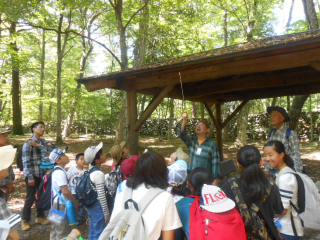 Activity example (Forest Science Expedition)